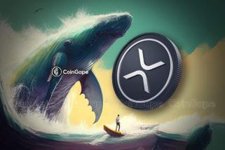 随着价格跌破 0.63 美元，XRP 鲸鱼抛售 2300 万枚 XRP，下一步是什么？