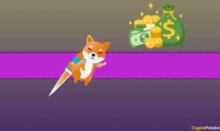 这位幸运的柴犬 (SHIB) 交易员在一年内将 8,000 美元变成了 57 亿美元：详情