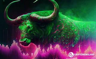 What Does the Future Hold for BONK Coin’s Price in 2024 and 2025?