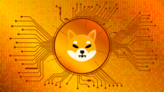 邦克超越佩佩，柴犬对手会是下一个吗？