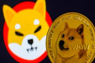 Shiba Inu 燃烧率飙升 1600%，SHIB 价格暴跌，发生了什么？