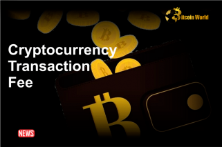How To Prevent Transaction Fees From Eating Into Your Crypto Trading Profits