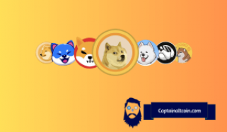 How Did SHIB, BONK, PEPE and Other Meme Coins React to Bitcoin ETF Approval?