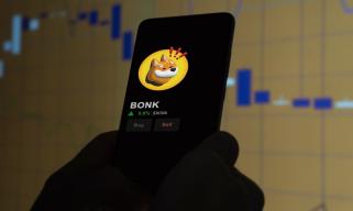ミームコイン市場が新規プレーヤーに移行する中、ボンク（BONK）とペペ（PEPE）は損失に直面する