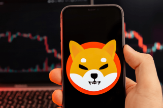 Shiba Inu (SHIB) 百万富翁公布前三名 100 倍微盘名单
