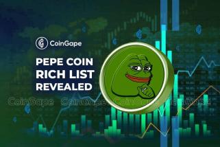 Pepe Coin 富豪榜揭晓