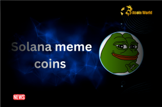 PEPE 和 WIF 飙升，以太坊和 Solana Meme 币成为焦点