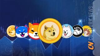 Dogwifhat: The Meme Coin Winning Hearts with Simplicity