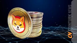 Shiba Inu Cryptocurrency Experiences Price Correction