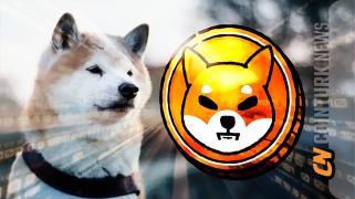 柴犬の価格高騰が仮想通貨愛好家を魅了
