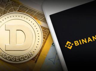 304 Million DOGE Mysteriously Moved from Binance Amid 7.5% Drop