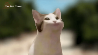 POPCATを買うには遅すぎますか？ Popcatの価格は185%急騰して週間最大の値上がり者となり、次に爆発する仮想通貨になる可能性がある
