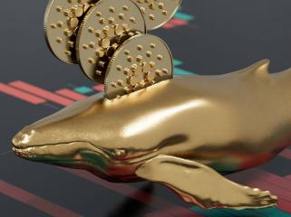 カルダノ（ADA）のクジラ活動が138億4,000万ドルに急増