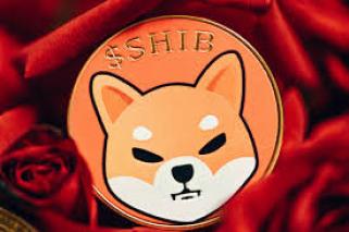 Shiba Inu 团队成员透露 ShibaSwap 网络扩张计划可能导致 SHIB 价格飞涨
