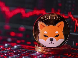 Is Shiba Inu (SHIB) on Verge of Catastrophe?
