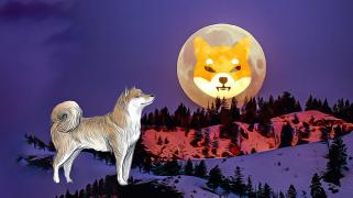 Shiba Inu Coin Sees Volatile Price Shifts