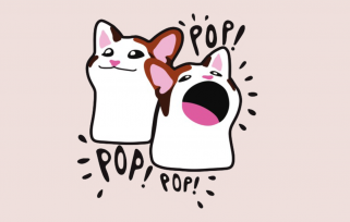Popcat 价格预测：POPCAT 上涨 15%，但这个新的 Solana Meme 硬币是下一个 WIF、BONK 还是 BOME？