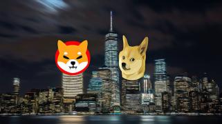 Meme Coins Experience May Rally