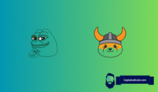 DWF Labs Moves 2 Billion FLOKI Tokens for the First Time in a Year While Whales Accumulate Pepe Coin: Is Meme Coin Season Back?