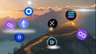Algotech (ALGT) Flies High On Presale As Dogecoin And Avalanche Push For Higher Gains