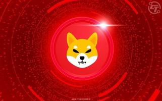 Shiba Inu’s Lucie S. Warns Against Celebrity-Endorsed Crypto
