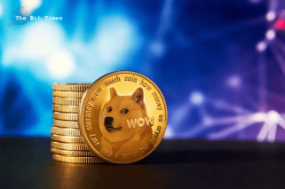 AI 修正 2024 年底 DOGE 价格预测