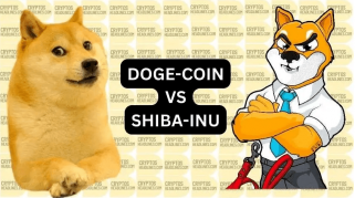 Dogecoin & Shiba Inu: Comparing Daily Users with Top Cryptocurrencies