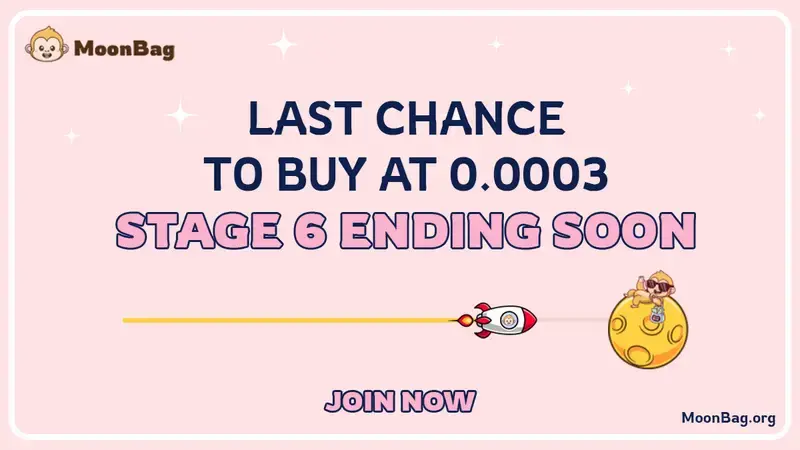 Avalancheの中央集権化の苦悩とDogecoinの誇大広告の衰退がMoonBagのプレセールで290万ドルに達することで影を落とす