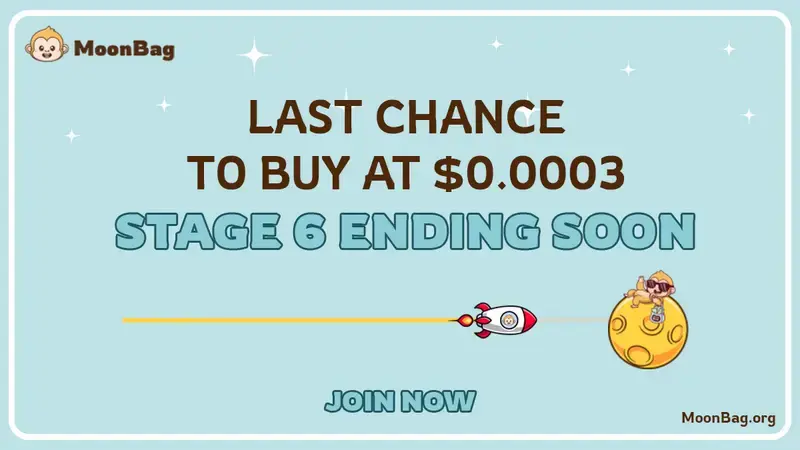MoonBag 于 2024 年 6 月凭借顶级加密货币预售而起飞，而 SHIB 和 DOGE 却失去了动力