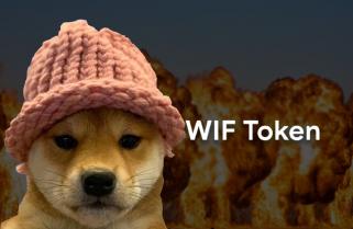 DogwifhatがDOGEとSHIBを追い越してミームトークンのトップリストに急浮上