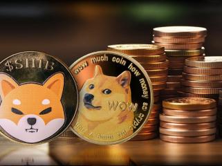 SHIB vs. DOGE: Shiba Inu Signals 'Extremely Oversold' Against Dogecoin