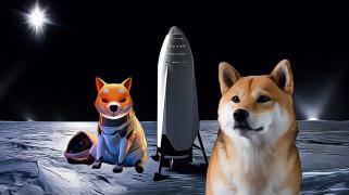 Can DOGE Prices Surge Again?