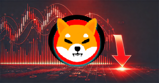 柴犬崩溃 70%：恐惧笼罩着柴犬军团