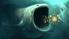 終わりのないサイクル: 仮想通貨クジラはどのようにしてお金を稼ぐのか