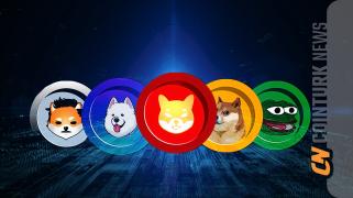 PEPEとWIFトークンが大幅に増加