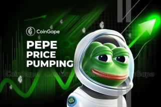 Pepe Coin 价格上涨 32% 的主要原因：专家版