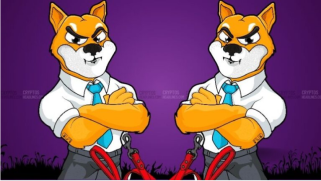 Shiba Inu’s 17% Surge: Why Traders Expect a Drop
