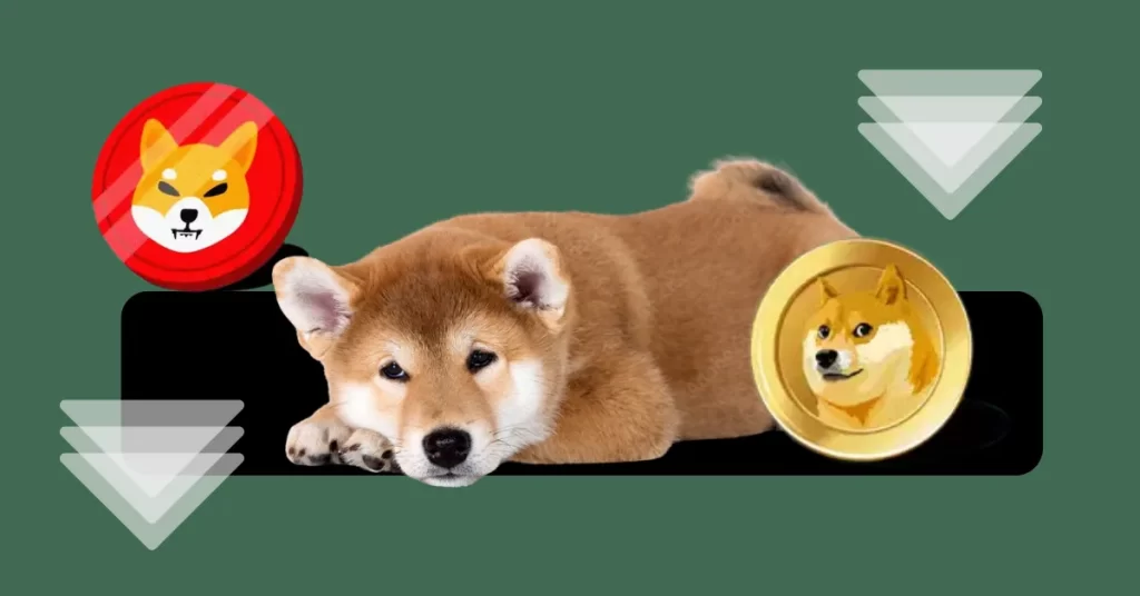 狗狗币和柴犬价格失去动力：这些 Memecoin 的下一步是什么！