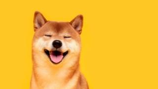 ドージコインの大きな上昇が近づいている：アナリストは「最も美しい」チャートパターンを見ている