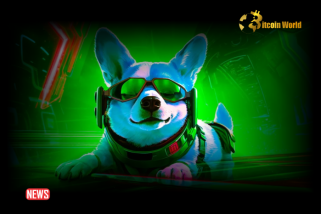 狗狗币（DOGE）终于准备好迎接减半后的反弹了吗？