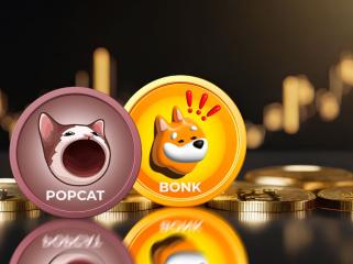 Meme 币 POPCAT、BONK 火爆，一夜之间实现两位数涨幅