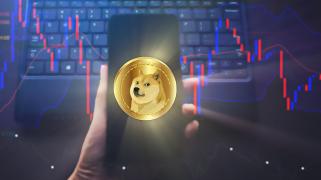 Investors Flock to Meme Coins