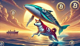 Dogecoin And Shiba Inu Whale Transactions Spike Despite Drop In Activity