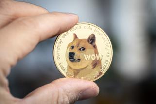 Dogecoin Now Has 6.69 Million Holders: How It Compares To Shiba Inu, XRP