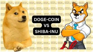 DOGE and SHIB Lag Behind as Crypto Market Drops