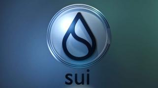 Sui 价格预测：专家称 SUI 价格上涨 10%，考虑这种具有 100 倍潜力的加密货币