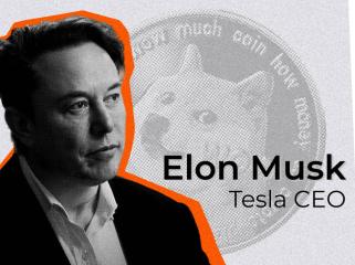 Elon Musk Stuns Dogecoin Community With New Post