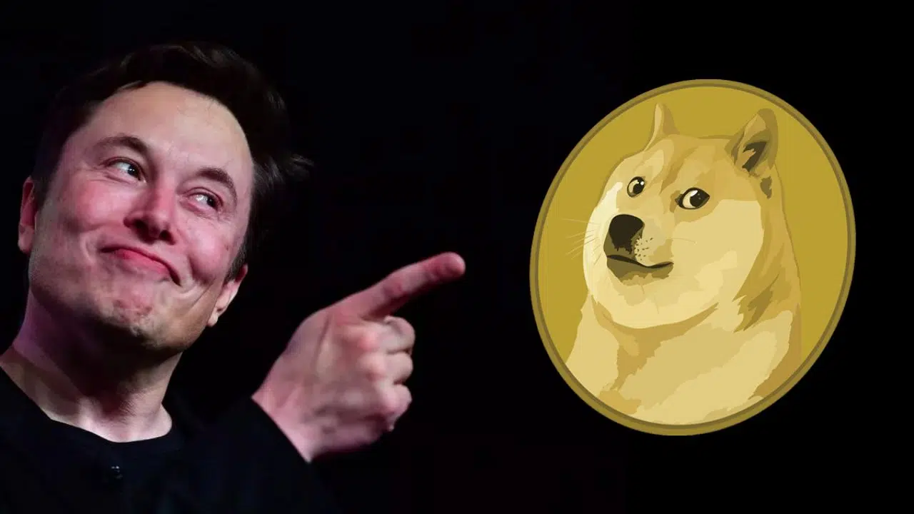 Elon Musk's DOGE Message to Trump: 'I'm Ready for Duty', Dogecoin Price Moved!