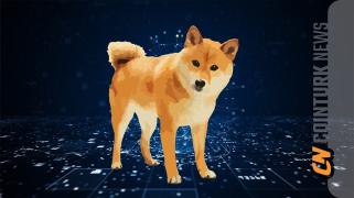 Shiba Inu Price Shows Signs of Significant Increase