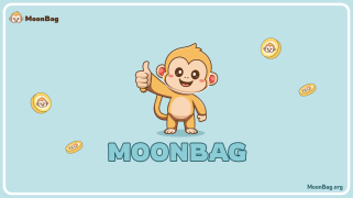 PEPE or NEIRO Has the MEME Appeal? Is MoonBag the Best Crypto Presale of 2024?